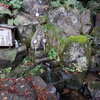 山岳仏教の拠点・山寺薬師の「延命清水」（上越市板倉区東山寺）【新潟県の名水】