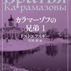カラマーゾフのガスストーブ。