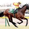 競馬初心者必見☆馬券予想🔥〜共同通信杯〜牡馬クラシックの最有力ステップ！