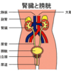 雑記！