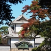 色づく街をあるけば「金沢城公園～アメリカ楓通り」
