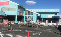 記事を見る