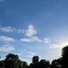ロンドン夜7時の公園