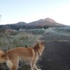 今日は戸隠宝光社から富士山を望む…