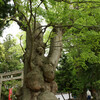 白鳥神社の御神木