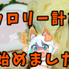 カロリー計算しよう