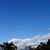 2021年12月1日