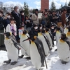 【旭山動物園】動物たちを見ると癒されます