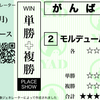休養明け２戦目も前走同様11着