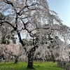 4月最新予約空き状況です