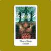 Vision Quest Tarot：Three of Earth