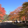 半田山の紅葉