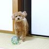 体調イマイチ続く