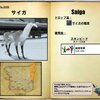 【FF14】暁月フィールドモブNo.0068 「サイガ(Saiga)」
