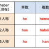 スペイン語#49　現在完了・過去完了の総復習＋過去時制との使い分け