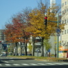 秋田市街地の初冬