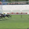 ロパシック　3歳未勝利戦で3着