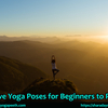 Effective Yoga Poses for Beginners to Practice