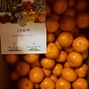 【ふるさと納税返礼品】和歌山産みかん