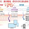 サンガード体質で〝光老化〟は怖くない