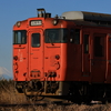 チラッと富士山とタラコ色のキハ403
