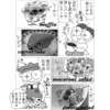 Chapter55 レーズンショック