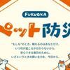 2024年にやりたいこと：防災と災禍における悲嘆ケア