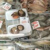 ５月７日（土）河西鮮魚店