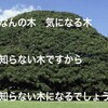 「この木なんの木」名前も知らずに作詞した伊藤アキラさん死去。