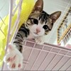 思い残すことは何も無い