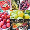 今日の果物 (2018/JAN/09) Today's Fruits