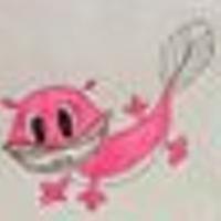確認団体とは 一般の人気 最新記事を集めました はてな