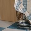 Zoomミーティング中