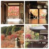晩秋の奈良を訪れました