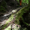 芒種の加持ヶ峰遊山　山清水