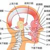 ヤバイ！このまま行ったら洗濯板って呼ばれちゃう！？〜気になるおでこのシワ