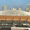 東京オリンピック2020＋１ をブログで 10倍楽しむ法（１１） 競技８日目の日本人選手をスベダラっと時系列にランキング！ 【 7/31  ～ 午後編 ＝中編 ～ 】