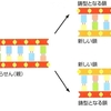 細胞の分子生物学（その３２）