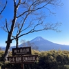 久しぶりのトレイルで今年一番の富士山を拝む