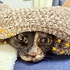 おくるみもなちゃん。