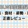 【BLW実践記録】6ヶ月からBLWをやってみた！準備・食材・椅子・かかった時間まで全部紹介