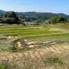 迫害する者のために祈りなさい