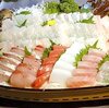 アオリイカ浮き釣り、釣ったアジを泳がせるだけで釣れる