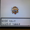 色違いポケモン紹介 Vc産キリンリキ 自由に生きてあそblog 色違いポケモン紹介 Vc産キリンリキ 自由に生きてあそblog