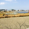 ウオーキング日和
