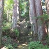 神社の石段で流れる唄は　山崎ハコの「望郷」です。