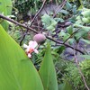 いきなり。濡れた
