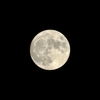 名月や池をめぐりて夜もすがら