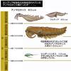 カンブリア紀の示準化石ともいうべきものが場違いな上部の地層から見つかった事の意味