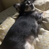 まろにー3749日目